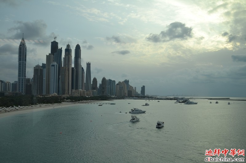 DSC_6375.JPG