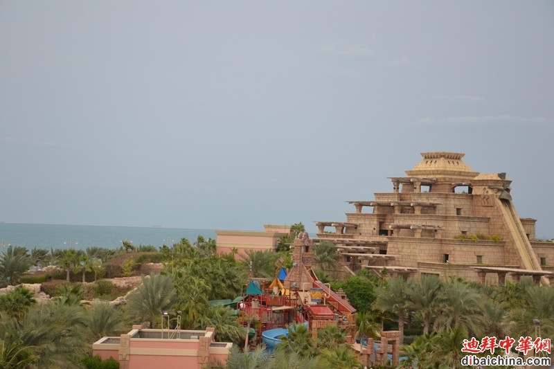 DSC_6408.JPG