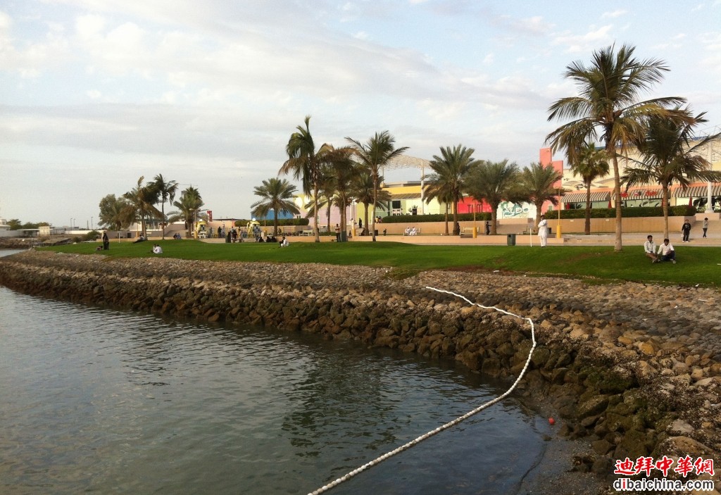 IMG_1865.jpg