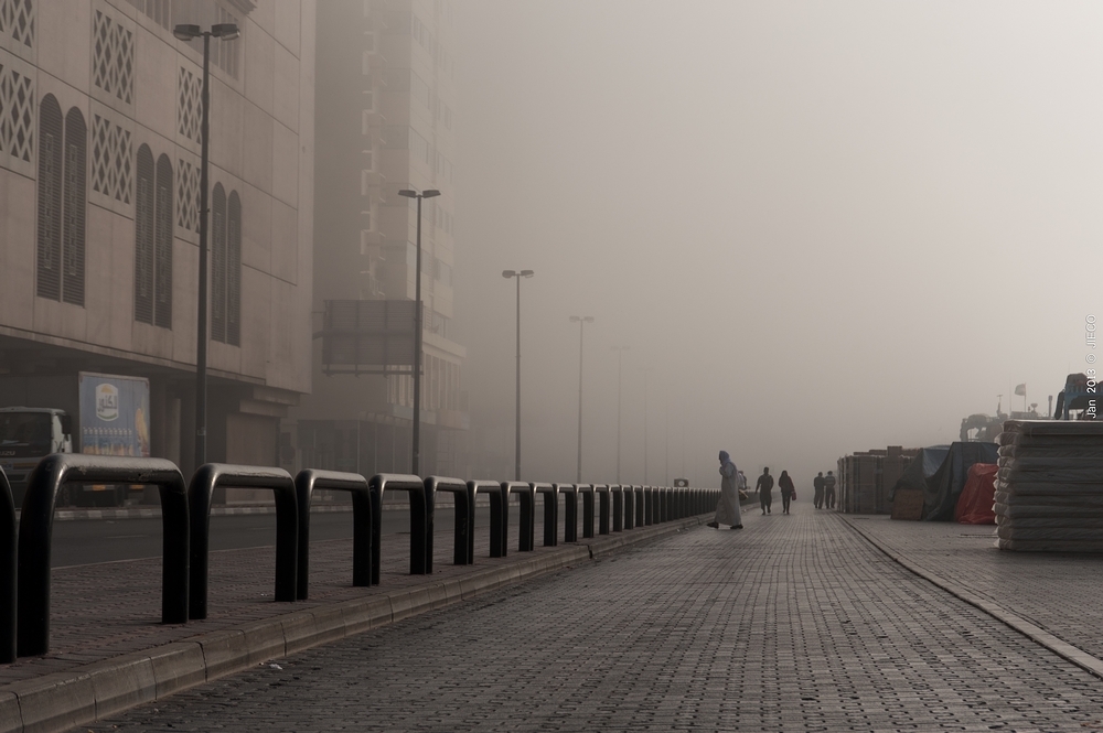 _DSC9790.jpg