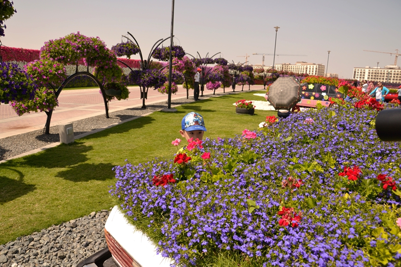 _DSC8058.JPG