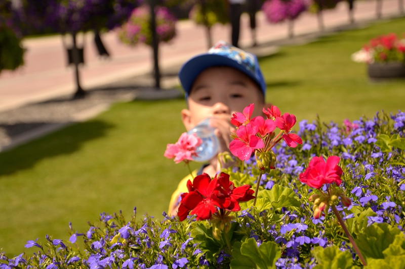 _DSC8059.JPG