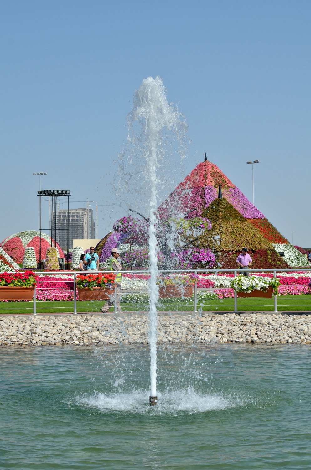 DSC_2980.jpg