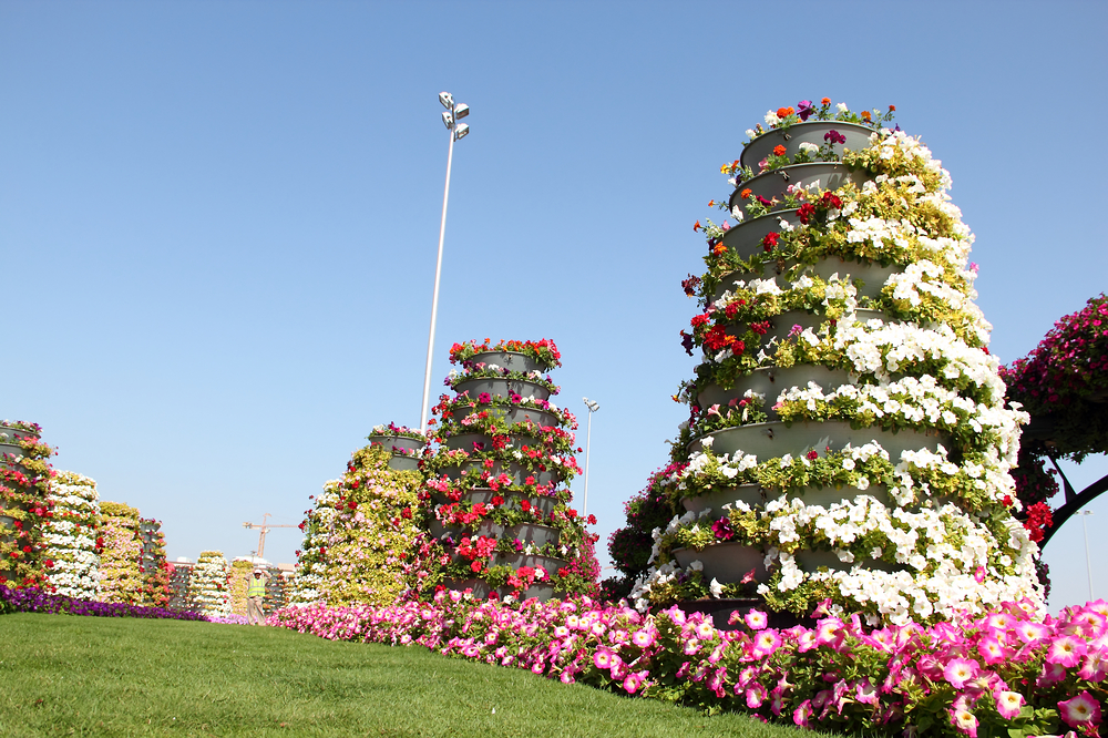 _MG_5856.jpg