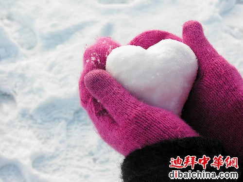 1-120911141T4H9.jpg