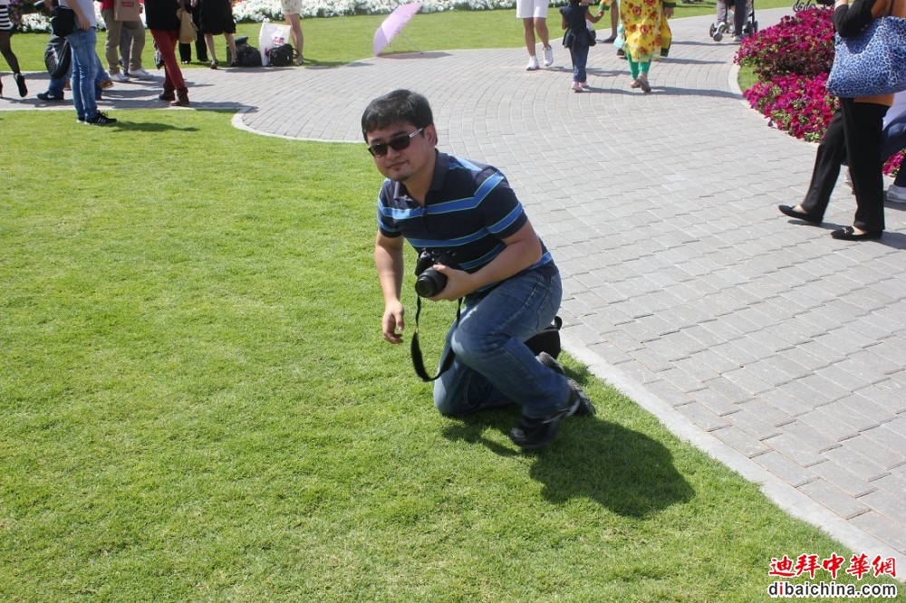 yoyo 166.jpg