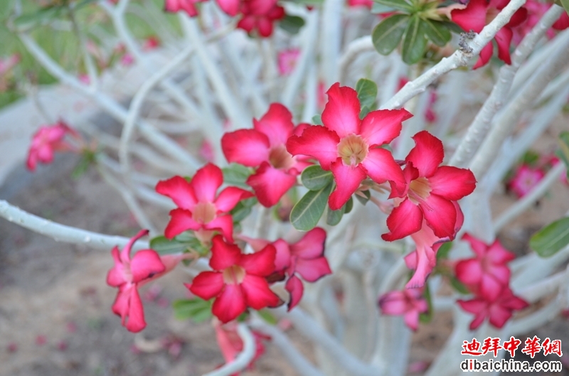 照片 329.jpg