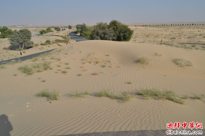 DSC_1530.jpg