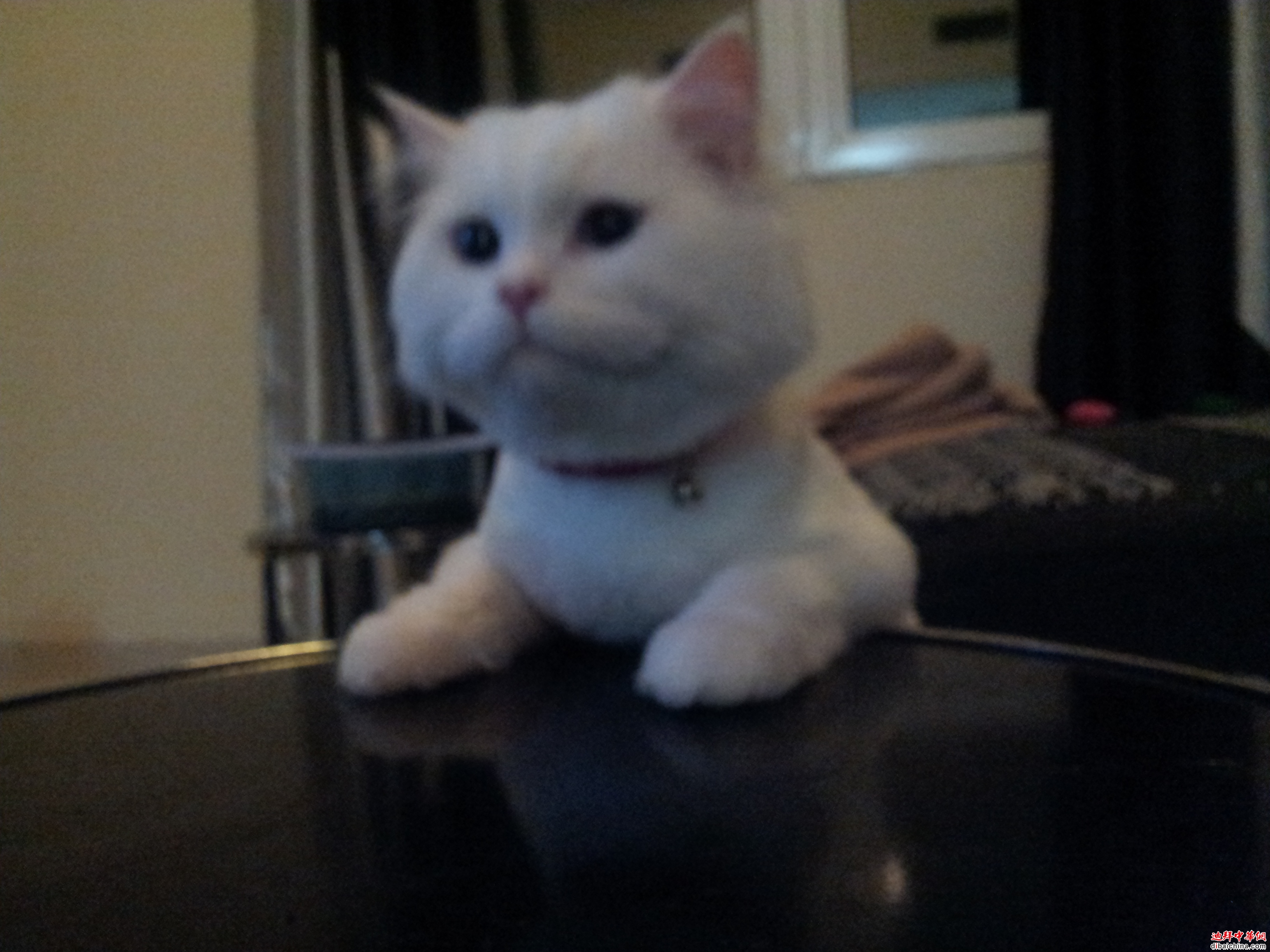 20131002_232155.jpg