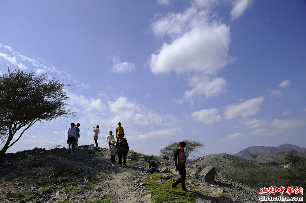 _DSC9060.JPG