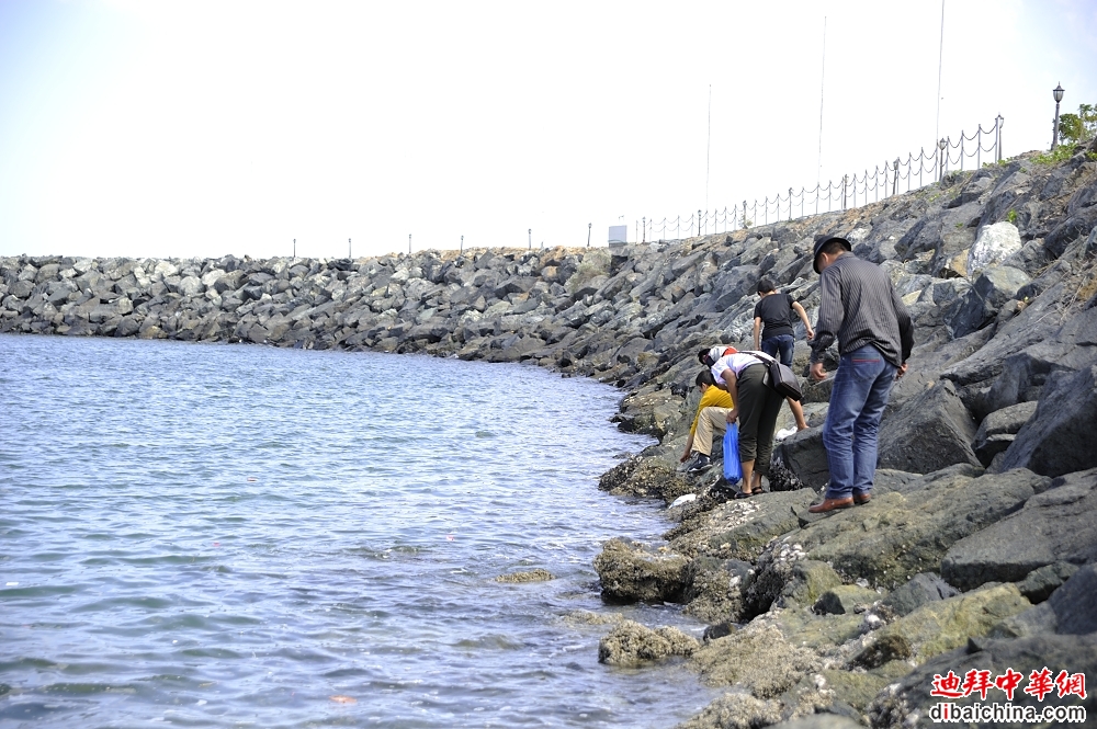_DSC9073.JPG