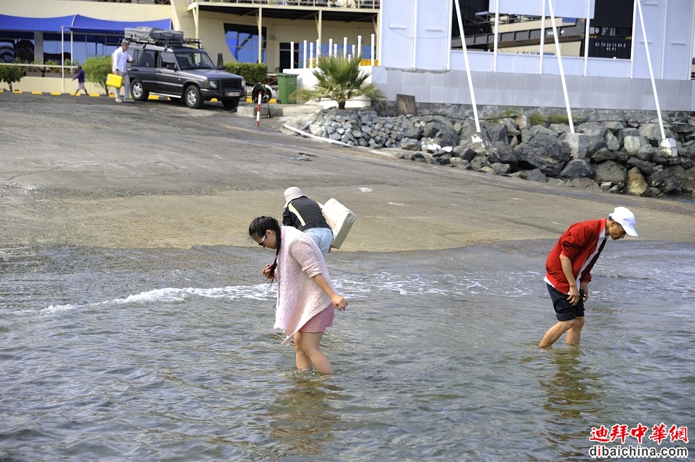 _DSC9074.JPG