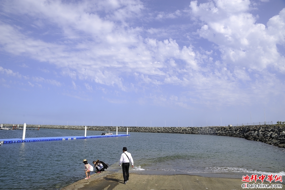 _DSC9083.JPG