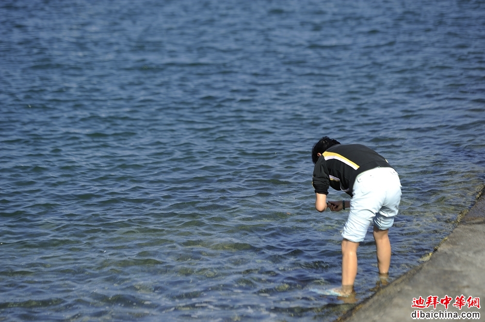 _DSC9096.JPG