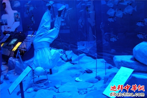 模拟采集珍珠.jpg