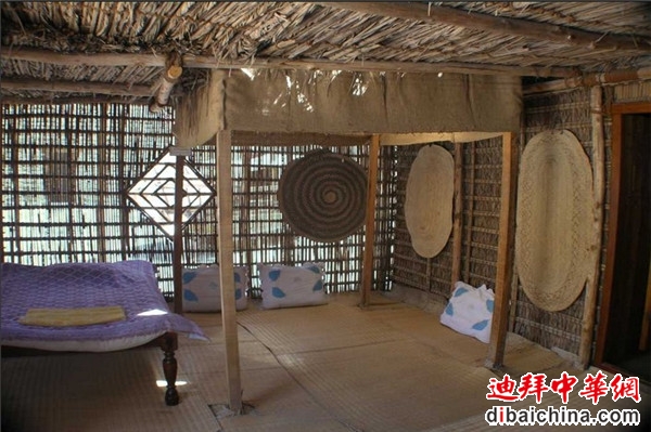棕榈叶房子.jpg