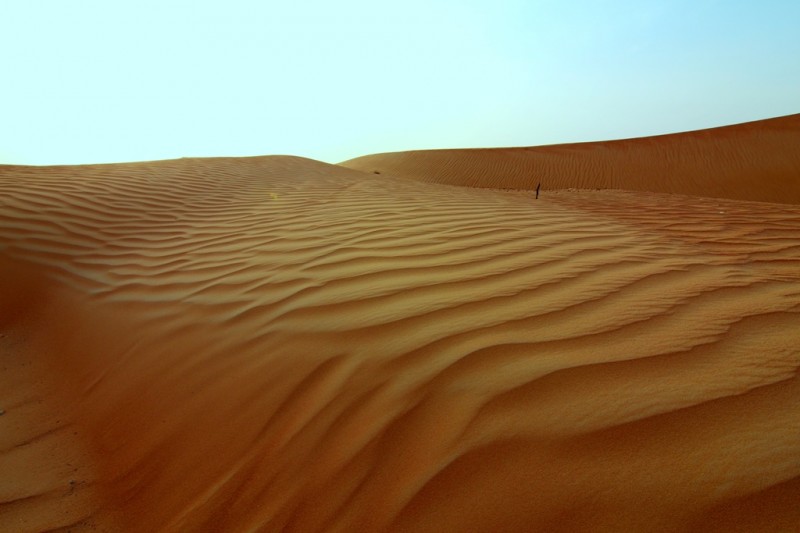 Desert (11).JPG