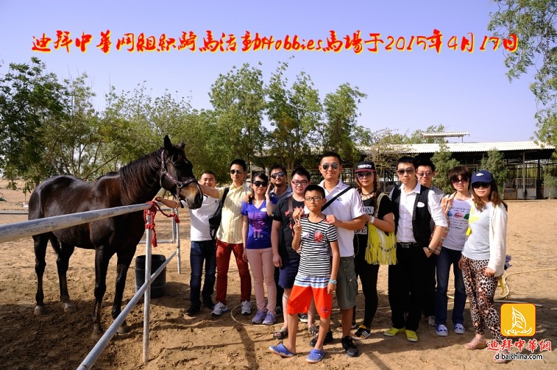 迪拜骑马活动2.jpg