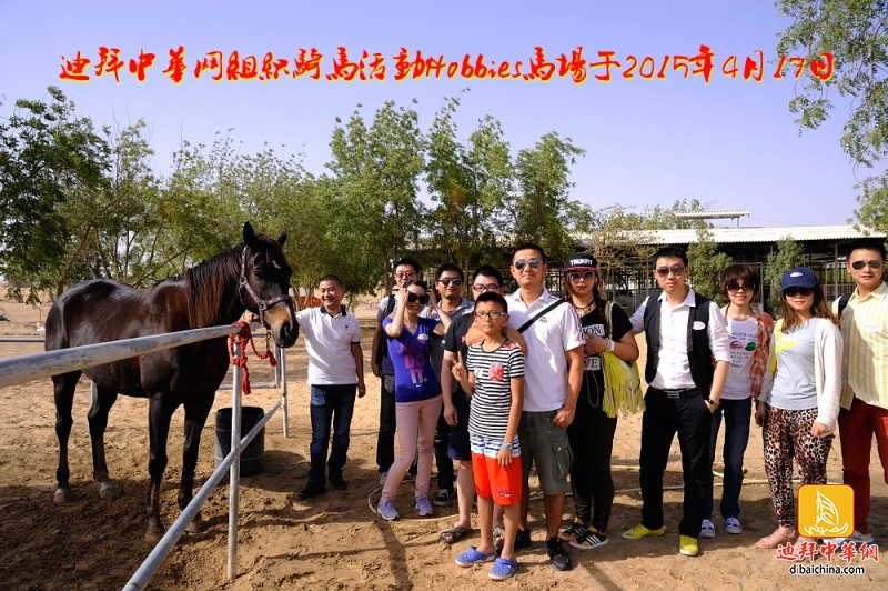 迪拜骑马活动1.jpg