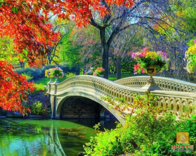 世界上最美的桥：人在桥上，桥在景中，美到骨髓！