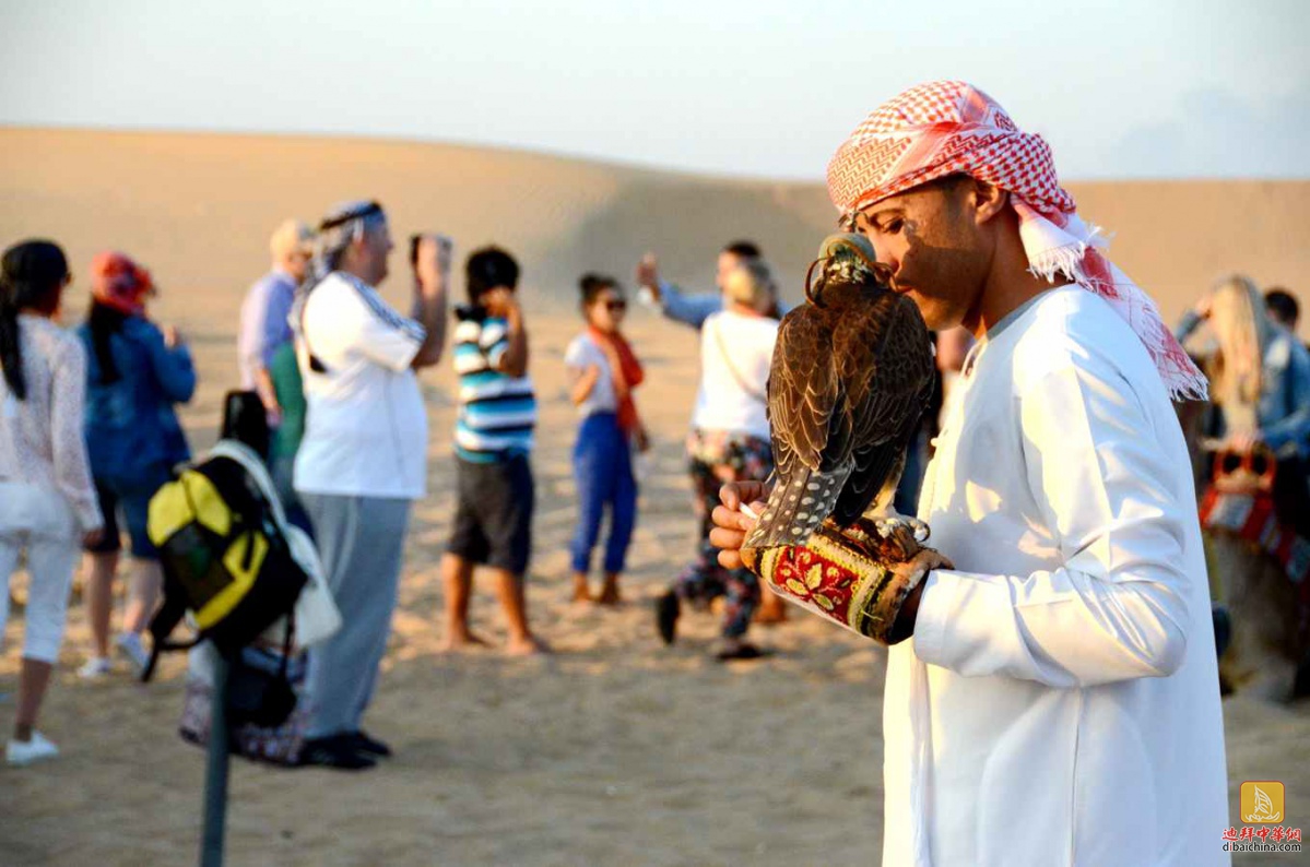  2016年2月19日迪拜冲沙活动花絮贴（红沙地）