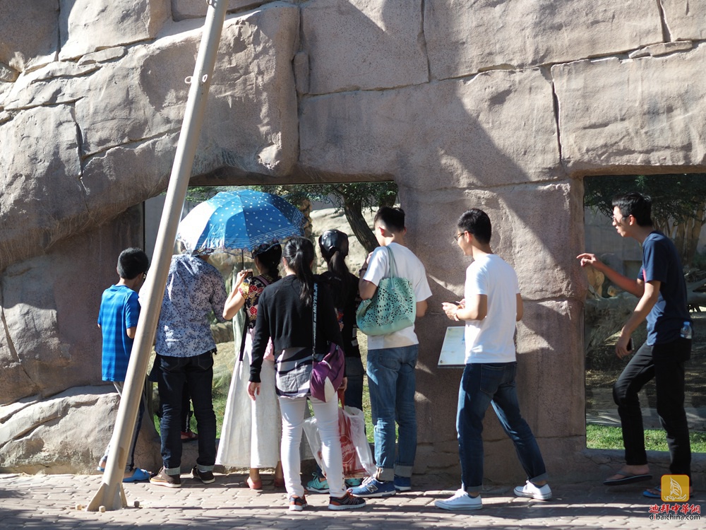 迪拜华人赴阿莱茵动物园泡温泉活动