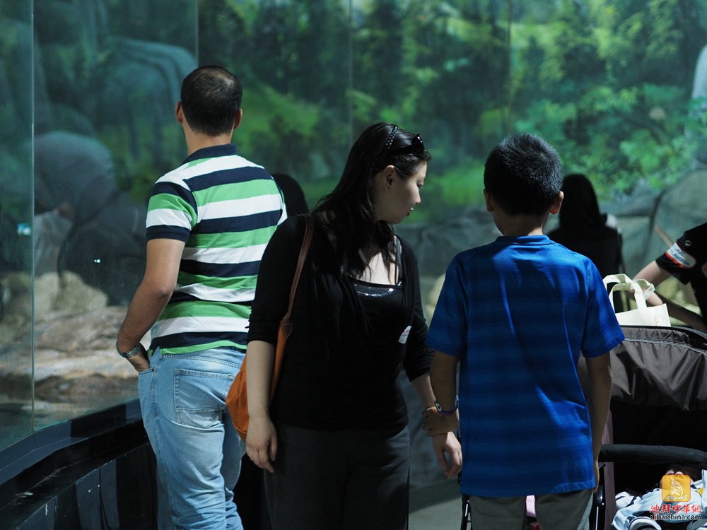 迪拜华人赴阿莱茵动物园泡温泉活动