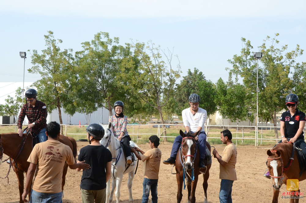 2016年3月11日Hobbies Club骑马活动花絮贴
