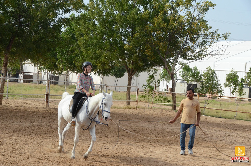 #最后的狂欢#2016年5月6日迪拜华人Hobbies Club骑马+沙漠摩托报名帖
