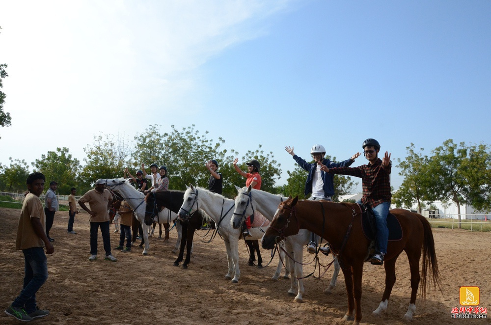 #最后的狂欢#2016年5月6日迪拜华人Hobbies Club骑马+沙漠摩托报名帖