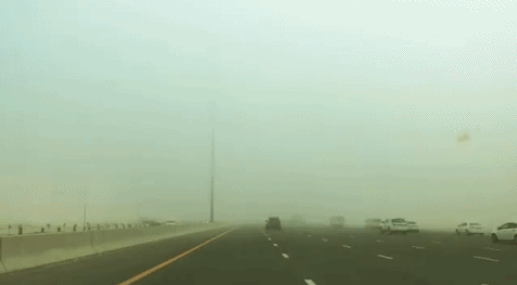 今晨迪拜大雾 雾中的迪拜美哭了...