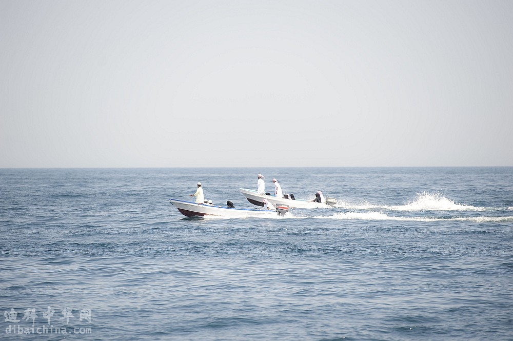 _DSC9127.jpg