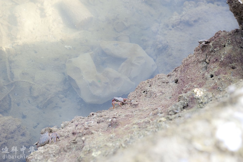 _DSC9146.jpg
