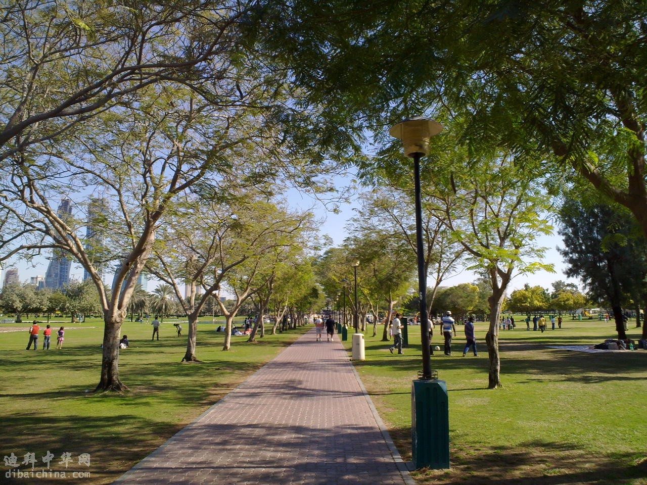 201101012206.jpg