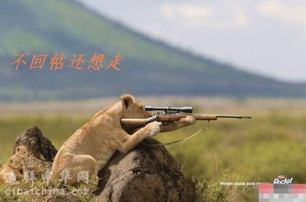 不回帖.jpg