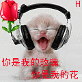 你是我的玫瑰你是我的花.gif