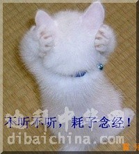 未命名556.jpg